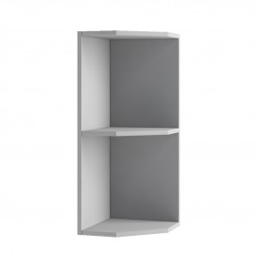 Шкаф верхний полка угловая ПТУ 300 Тито в Новосибирске - mebelnovo.ru | фото