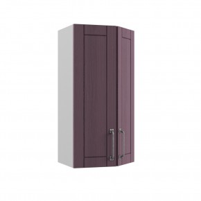 Шкаф верхний торц угл ПТ 400 Тито в Новосибирске - mebelnovo.ru | фото