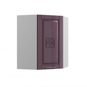 Шкаф верхний угловой ПУ 550х550 Тито в Новосибирске - mebelnovo.ru | фото